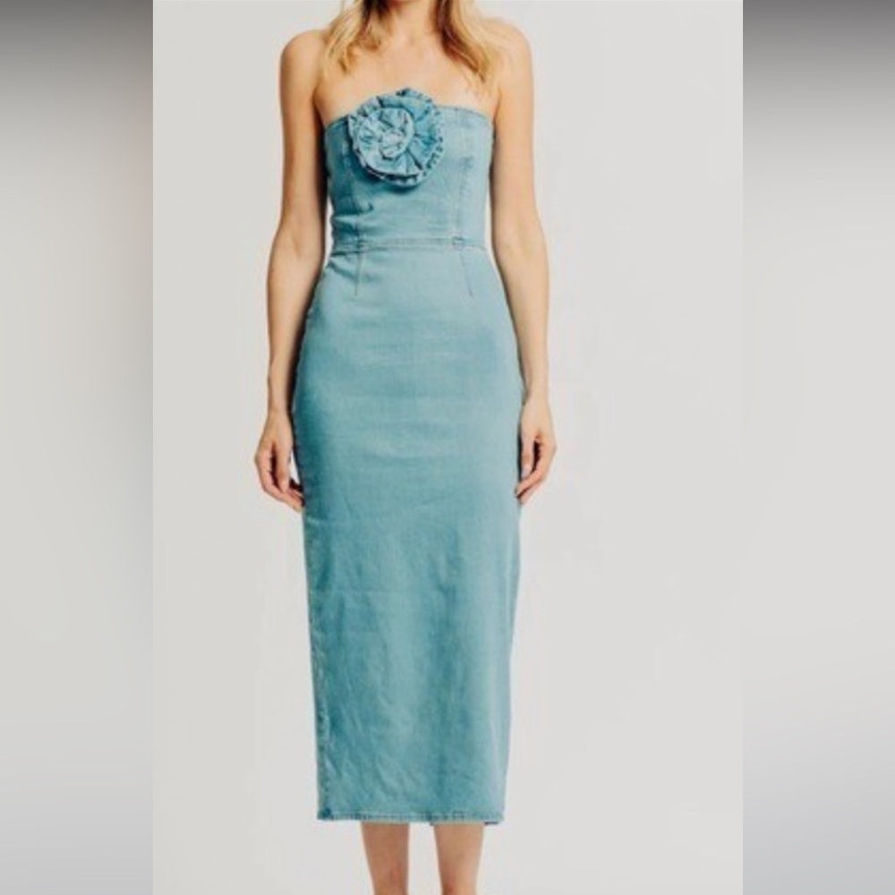Torn by Ronny Kobo Strapless Denim Dress